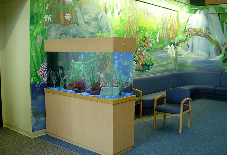 Olympia Pediatrician's Office Aquarium