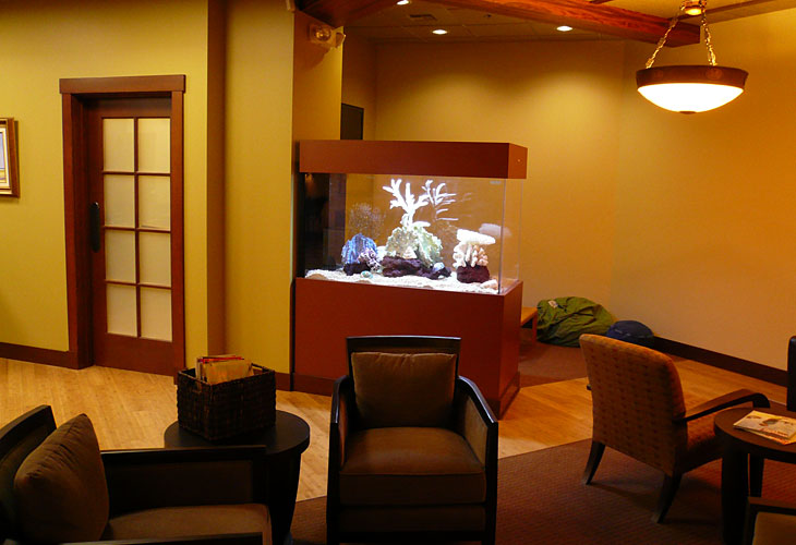 Aquarium Room Divider Clayton Aquariums