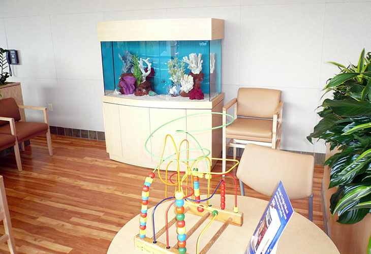 Wall Model Aquarium Doctor's Office
