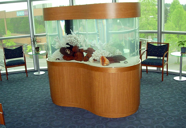 Custom Shaped Commercial Aquarium