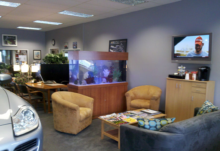 Aquarium for Auto Dealership in Seattle