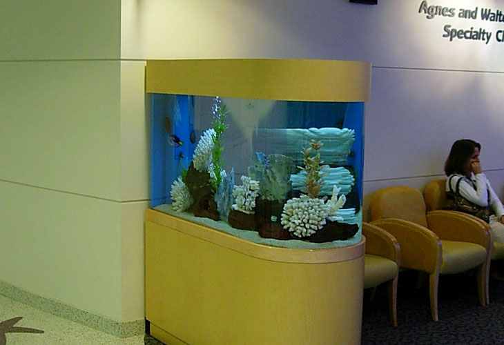 Bullet Shaped Aquarium for Room Divider