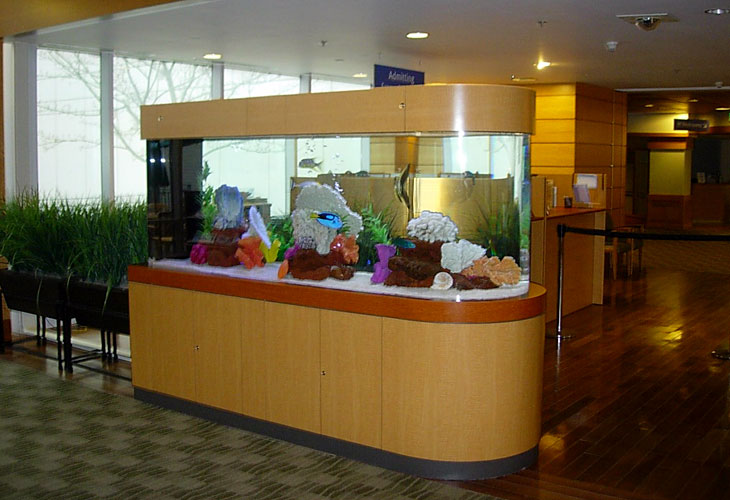 Commercial grade custom acrylic aquariums from Clayton Aquariums in