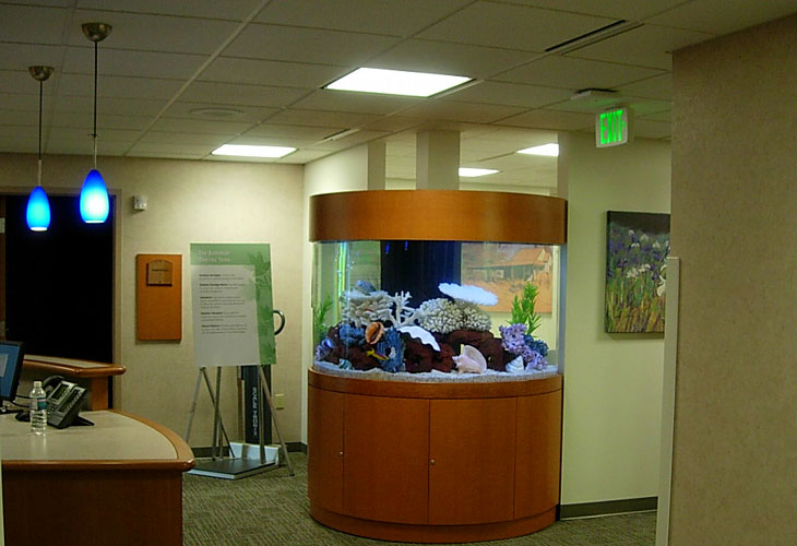 DSCN0982 Clayton Aquariums