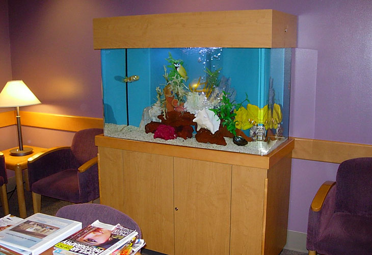 Wall Aquarium