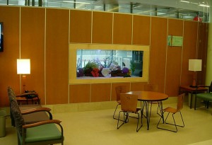 Commercial Aquarium Built-in