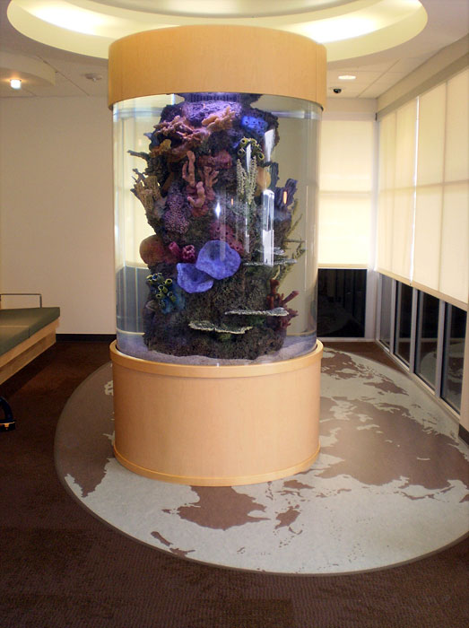 Olympia Hospital Cylinder Shaped Aquarium