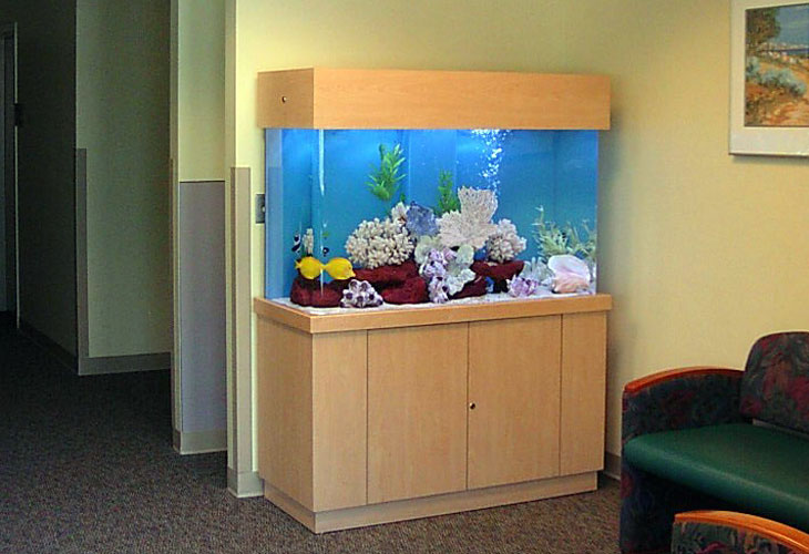 Commercial Aquarium Fish Tank
