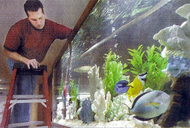 Aquarium Technology