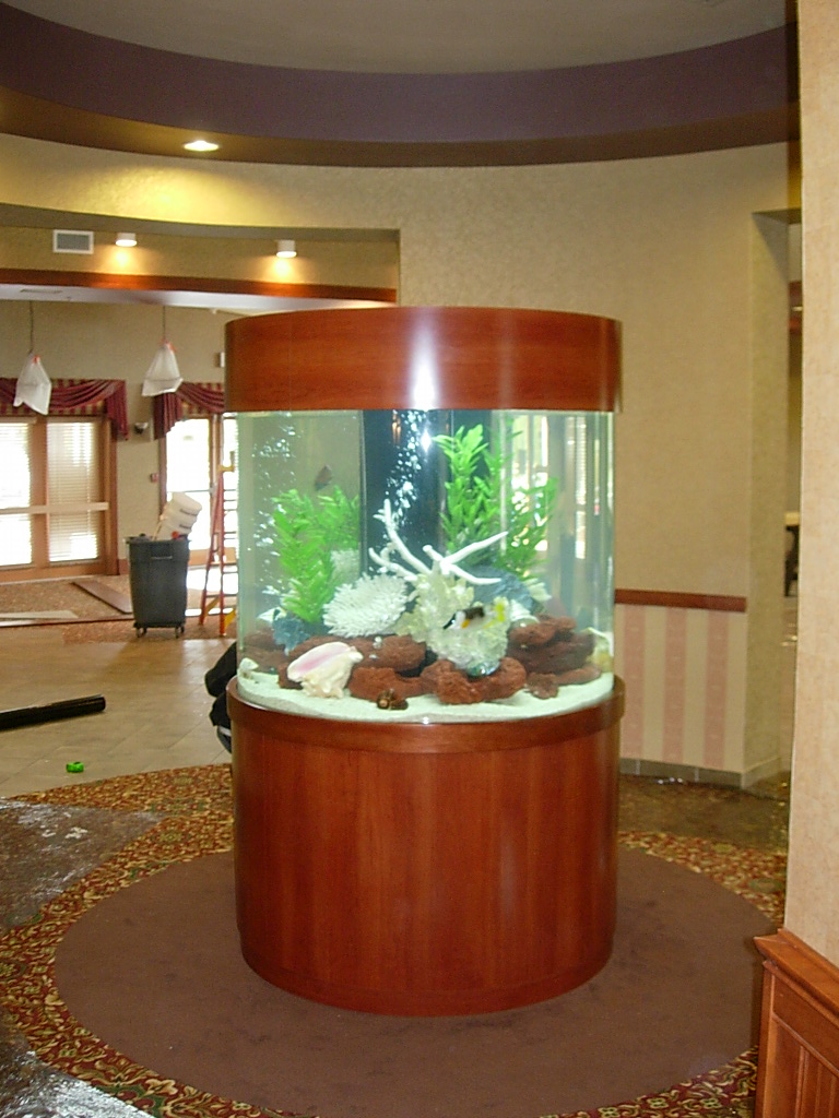 Cylinder Aquarium Clayton Aquariums