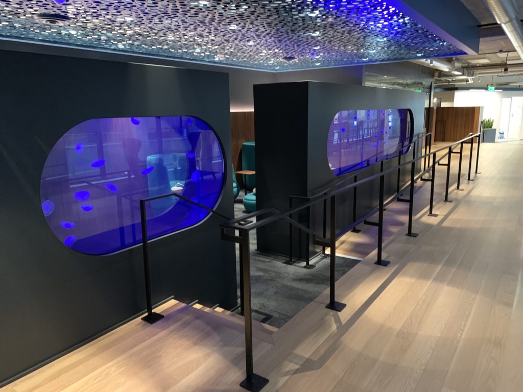 Jellyfish Clayton Aquariums